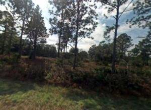 434 NW Cape RD, Lake Placid, FL 33852