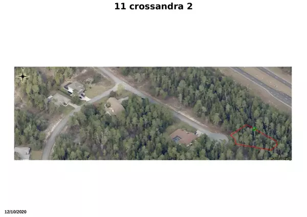 Homosassa, FL 34446,11 E Crossandra CT