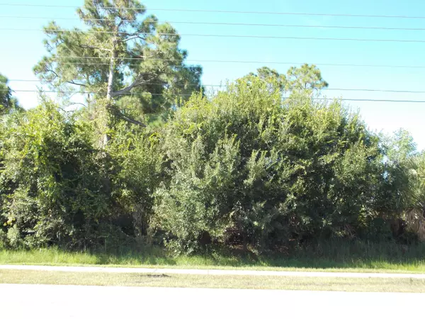 2011 SW Del Rio BLVD, Port Saint Lucie, FL 34953