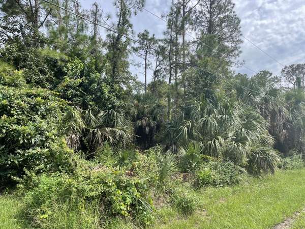 57 Price LN, Palm Coast, FL 32164
