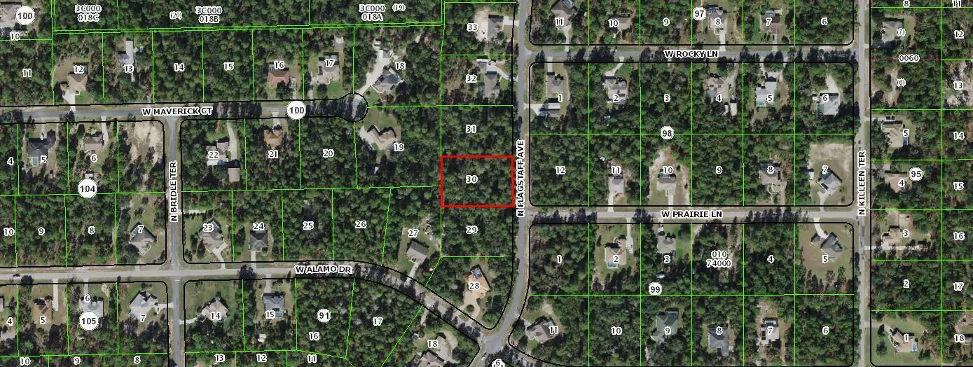 5898 N Flagstaff AVE, Beverly Hills, FL 34465