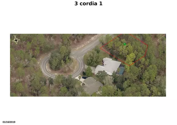 Homosassa, FL 34446,3 Cordia CT