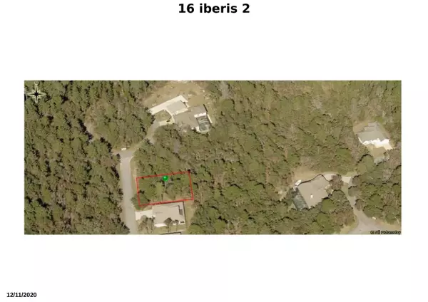 Homosassa, FL 34446,16 Iberis CT