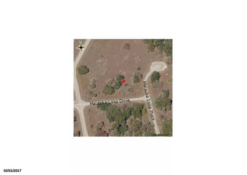 000 Malauka Loop DR, Ocala, FL 34472