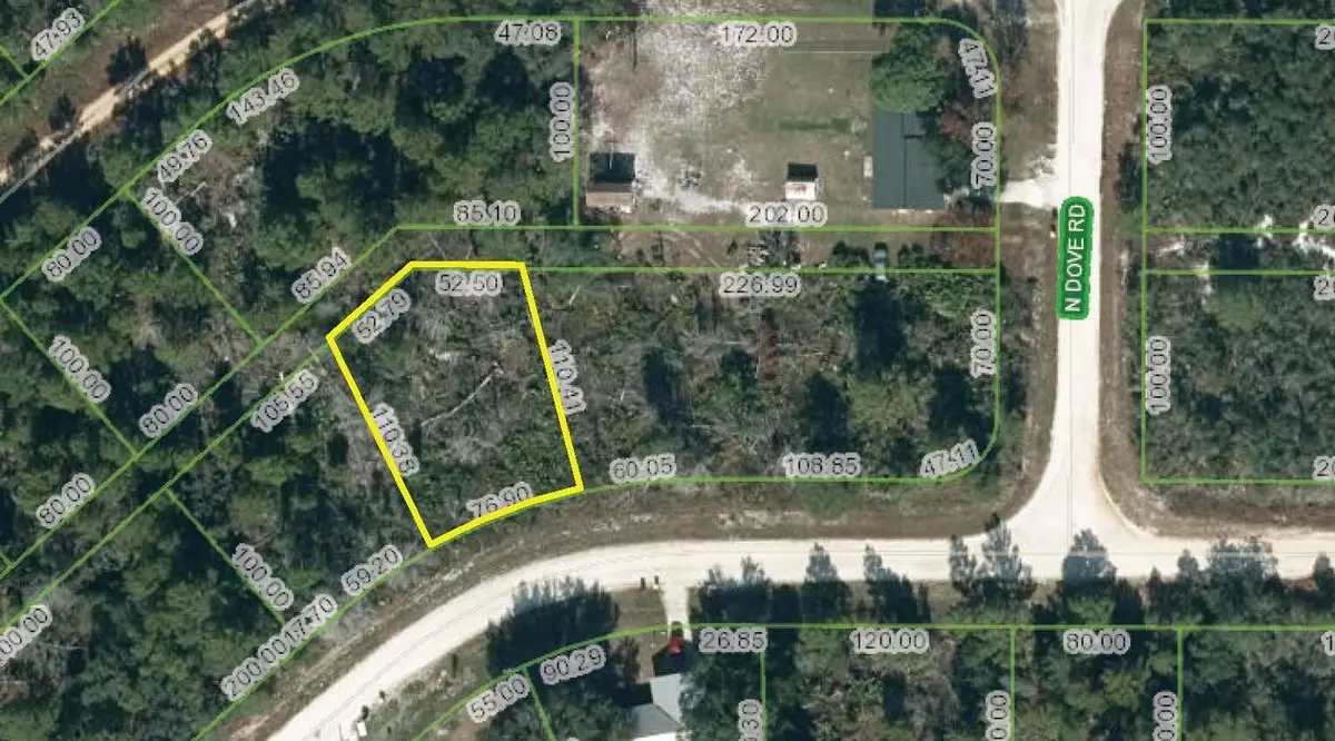 Avon Park, FL 33825,2944 W Kevin RD