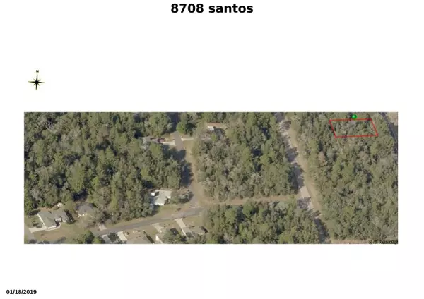 Citrus Springs, FL 34434,8708 N Santos DR