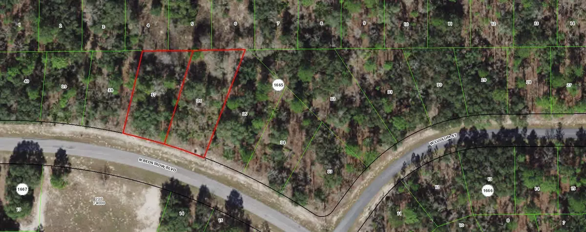 Citrus Springs, FL 34434,6585 N Bedstrow BLVD