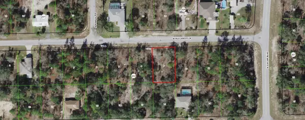 2832 W Buccaneer LN, Citrus Springs, FL 34433