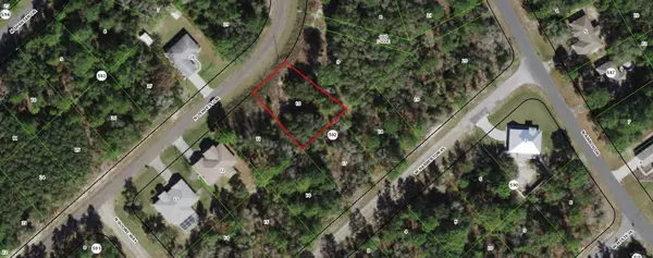 Citrus Springs, FL 34433,8585 N Tempest DR