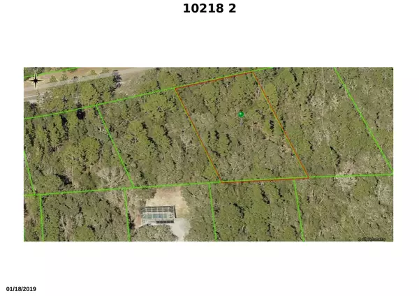 Citrus Springs, FL 34434,10218 N Athenia DR