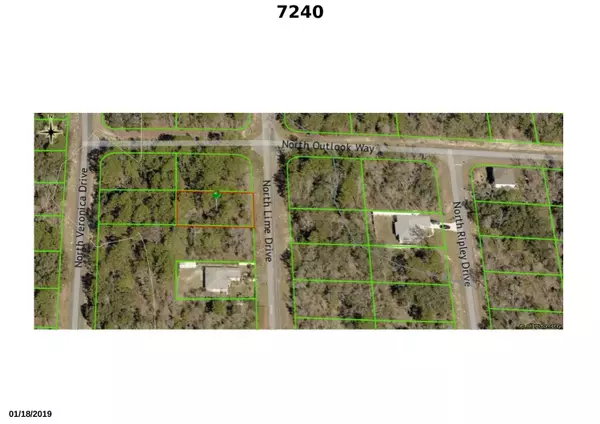 Citrus Springs, FL 34433,7240 N Lime DR