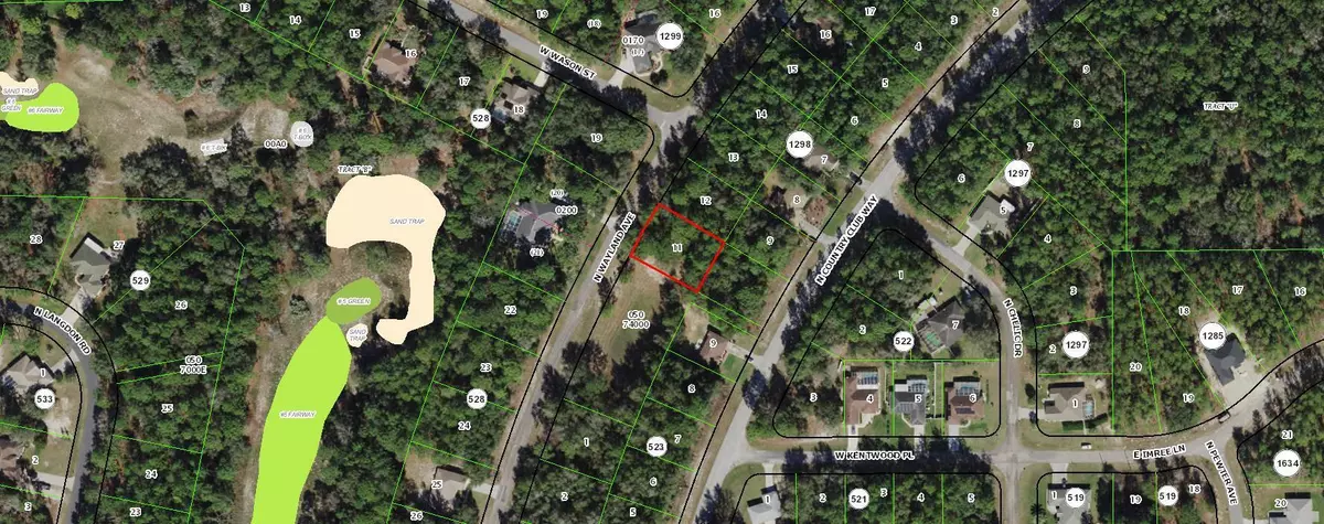 Citrus Springs, FL 34434,10001 N Wayland AVE