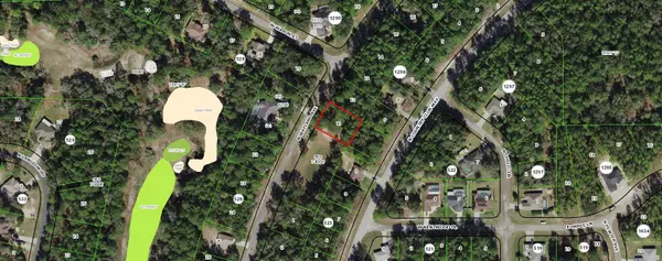 10001 N Wayland AVE, Citrus Springs, FL 34434