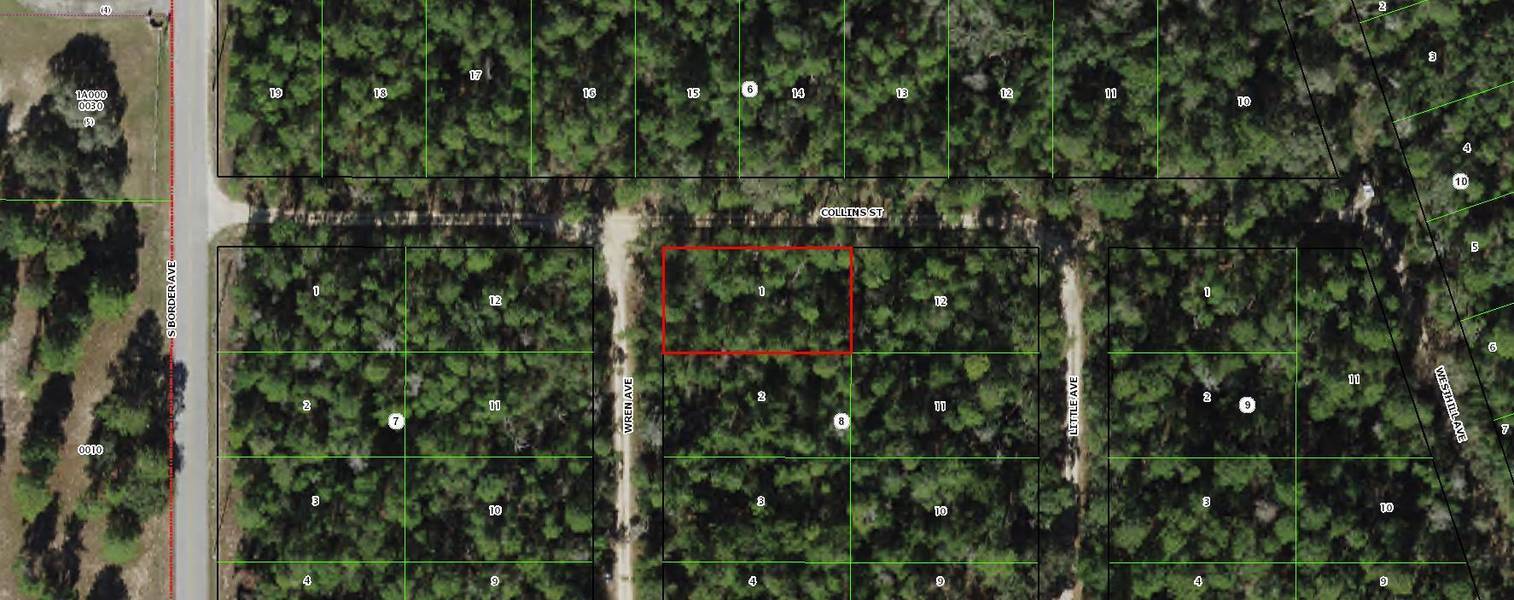 316 Wren AVE, Inverness, FL 34452