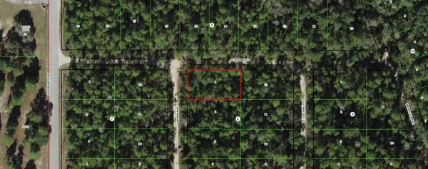 316 Wren AVE,  Inverness,  FL 34452