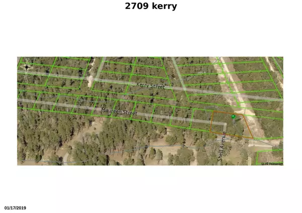 Inverness, FL 34452,2709 Kerry ST