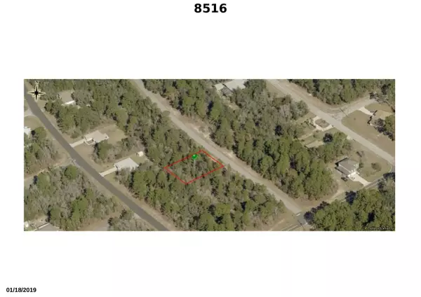 Citrus Springs, FL 34433,8516 N Gilovu DR