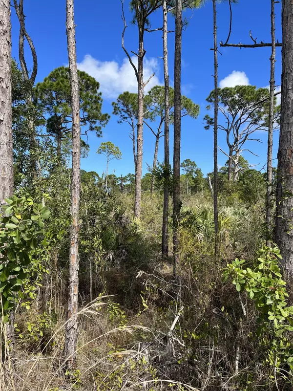 Fort Pierce, FL 34951,0 Tree Top TRL