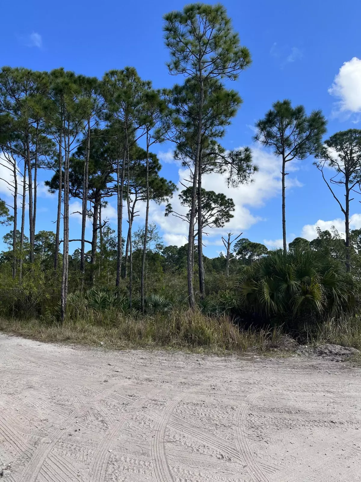 Fort Pierce, FL 34951,0 Tree Top TRL