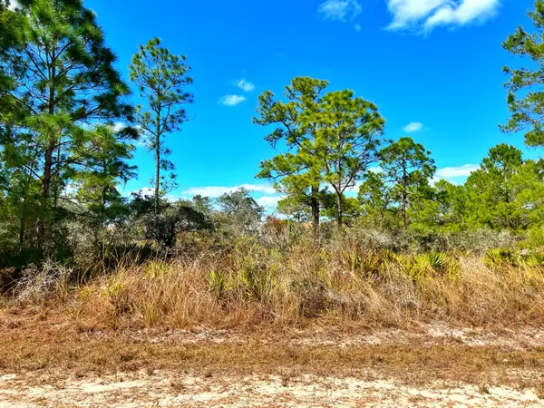 Lake Placid, FL 33852,3233 Redbird PL