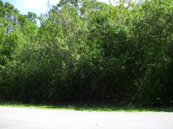 Fort Pierce, FL 34947,1490 Pineburke LN