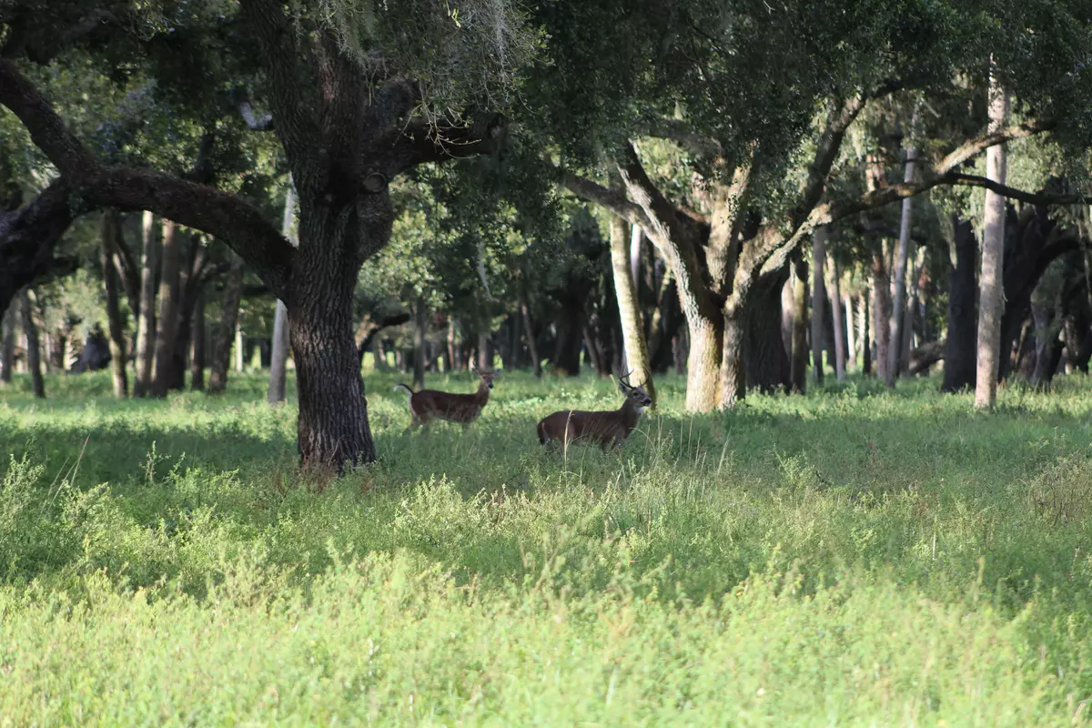 Port Saint Lucie, FL 34953,4365 SW Port St Lucie BLVD