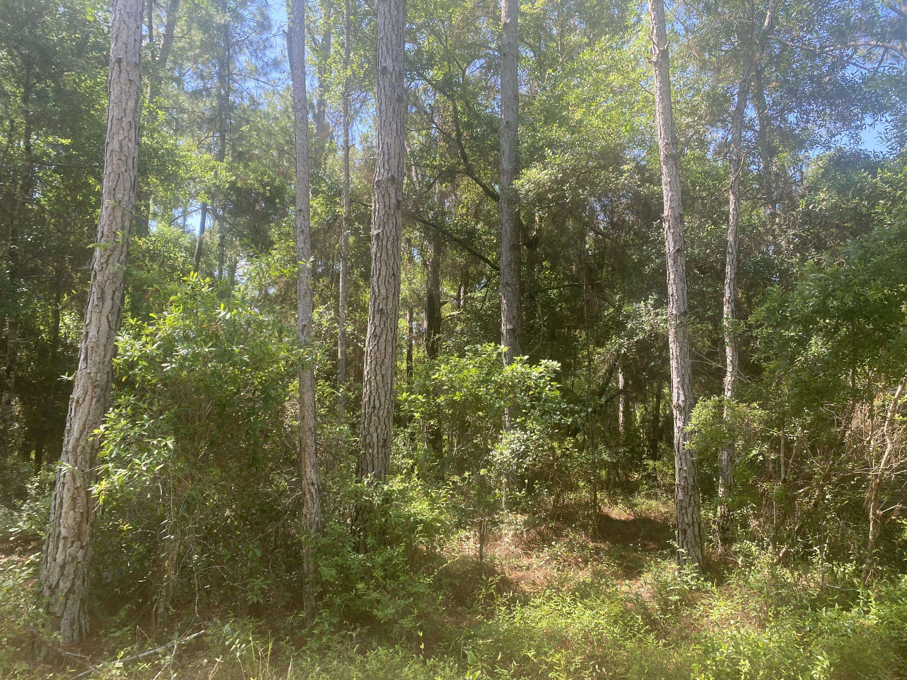 Tbd NE 155 LN, Fort Mccoy, FL 32134