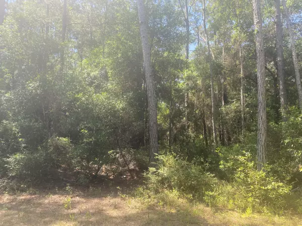 Fort Mccoy, FL 32134,Tbd NE 155 LN