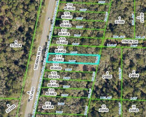 Webster, FL 33597,8442 Treiman BLVD 123, 124