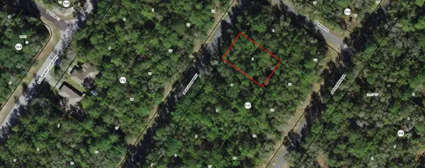 9419 N Jackson WAY, Citrus Springs, FL 34434