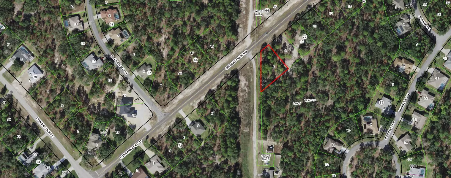 19 Corkwood BLVD, Homosassa, FL 34446