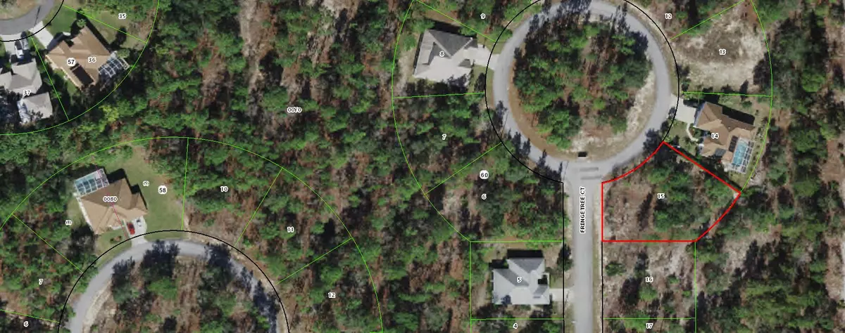 Homosassa, FL 34446,11 Fringetree CT