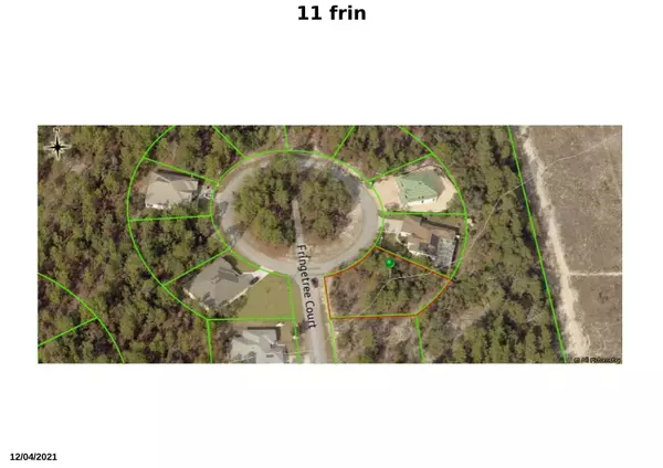 Homosassa, FL 34446,11 Fringetree CT