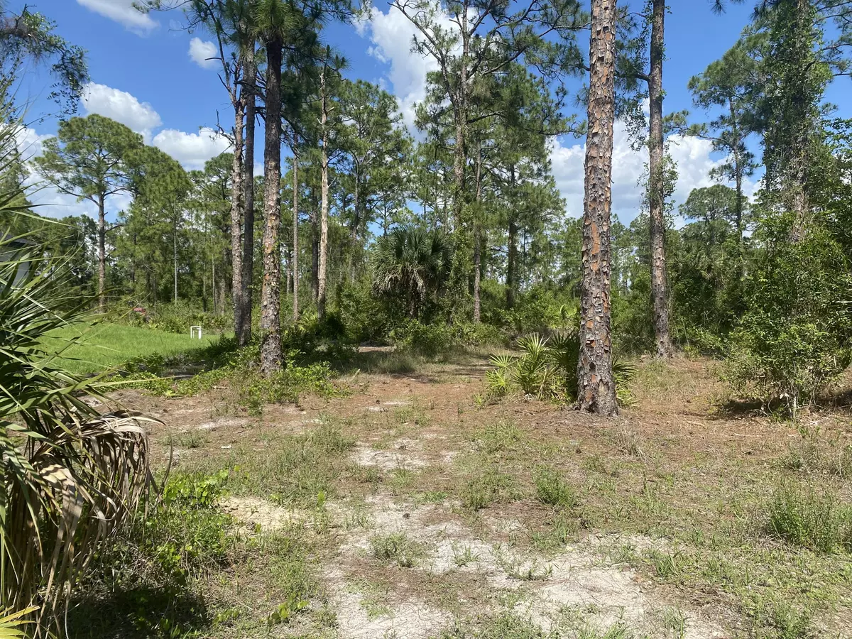 Lehigh Acres, FL 33972,920 Prospect AVE