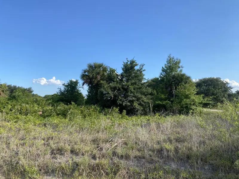 19984 NW 256th ST, Okeechobee, FL 34972