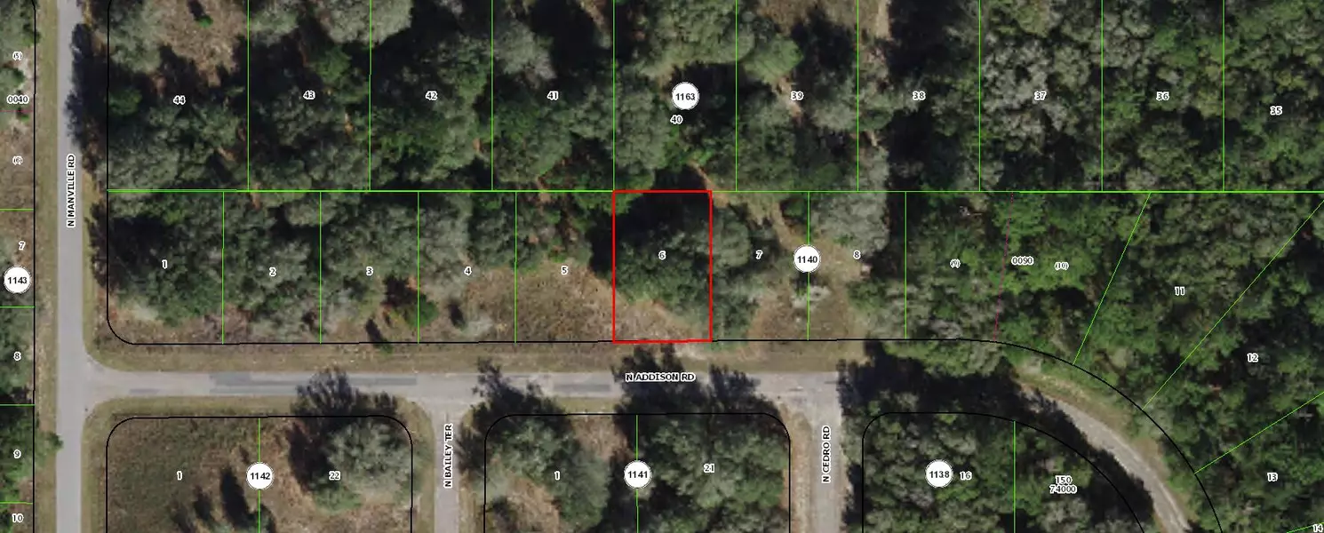 7977 N Addison RD, Citrus Springs, FL 34434