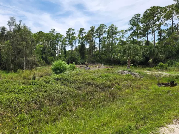 The Acreage, FL 33470,0 76th RD