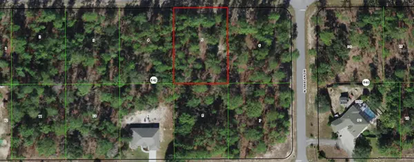 Citrus Springs, FL 34433,4338 W Dorchester CIR