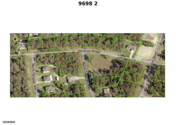 Citrus Springs, FL 34433,9698 N San Jose WAY