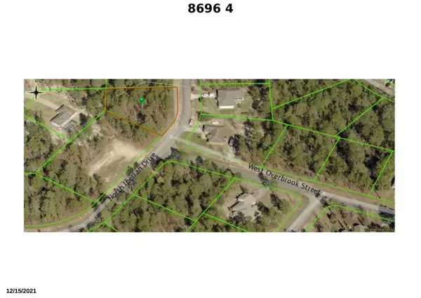 Citrus Springs, FL 34433,8696 N Iberian DR