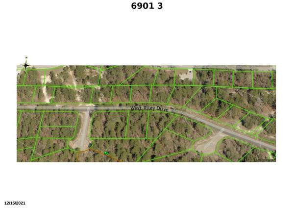 Citrus Springs, FL 34434,6901 Swan PT