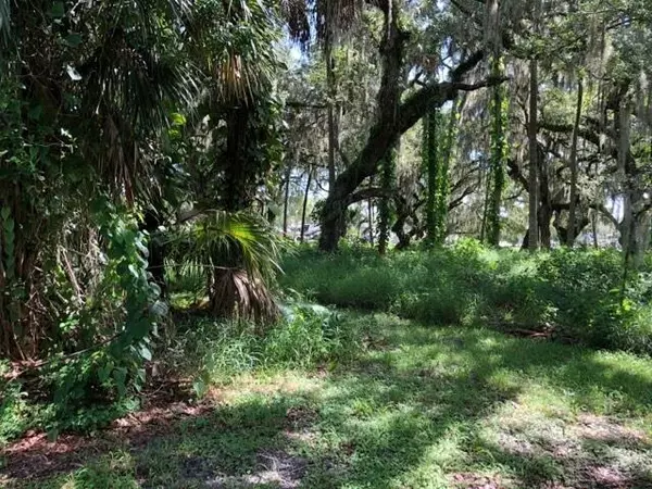 Lake Wales, FL 33867,278 Saddle LN