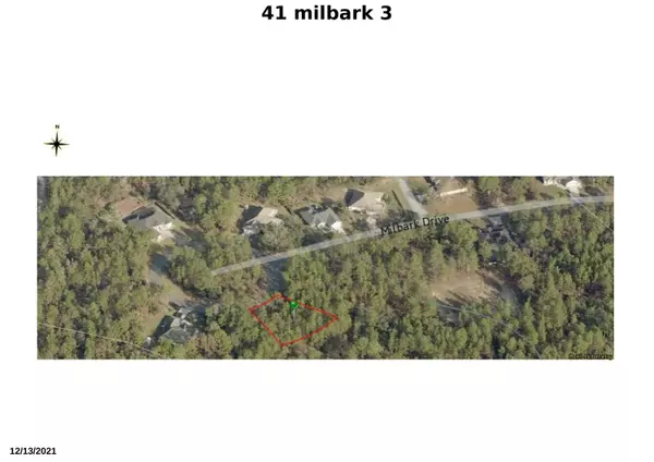 Homosassa, FL 34446,41 Milbark DR