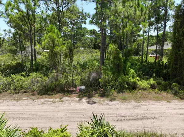 Fort Pierce, FL 34951,0 Tree Top TRL