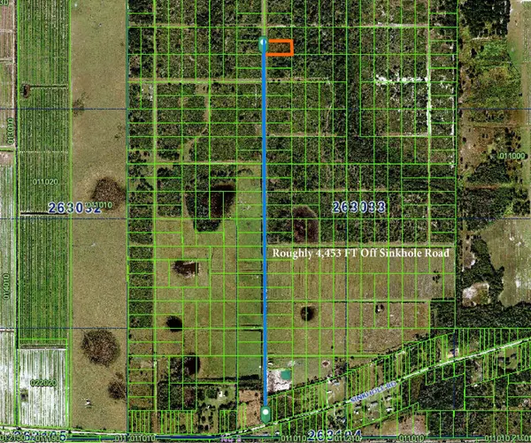 Fort Meade, FL 33841,Tbd Sinkhole RD