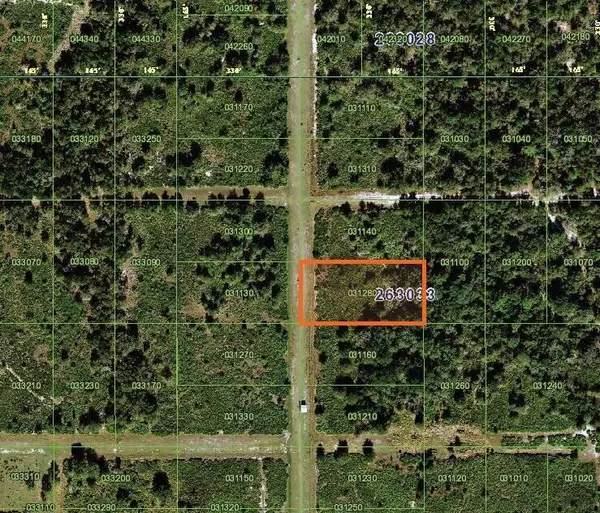 Fort Meade, FL 33841,Tbd Sinkhole RD