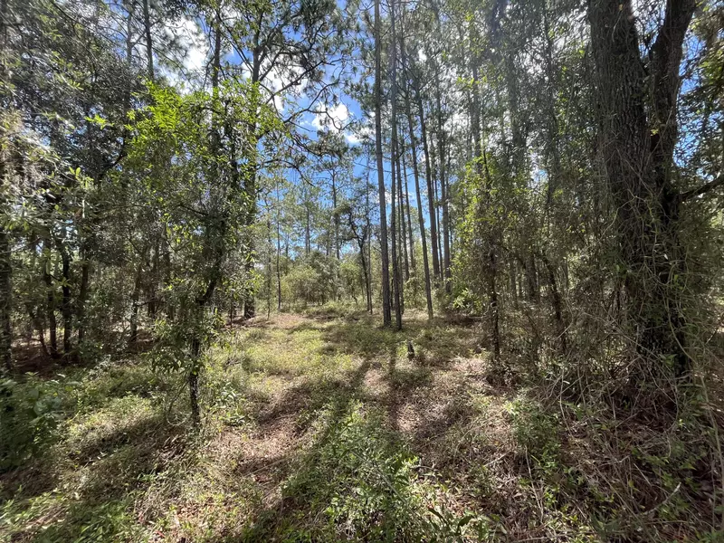 Tbd NW Ridgewood RD, Dunnellon, FL 34431