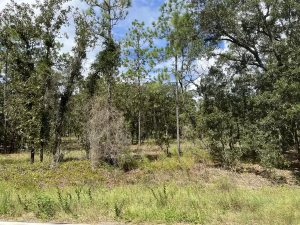 Dunnellon, FL 34431,Tbd NW Ridgewood RD