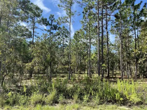 Dunnellon, FL 34431,Tbd NW Hemlock