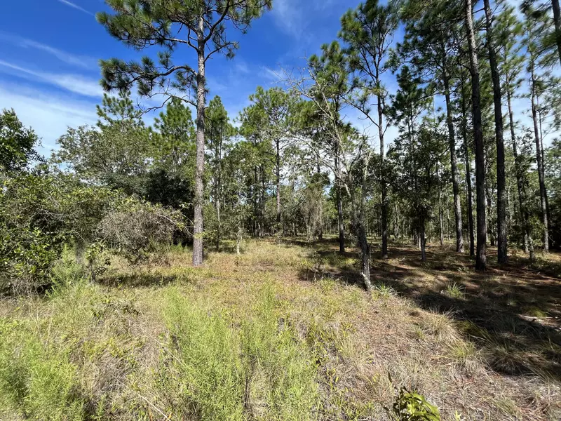 Tbd NW Amberjack AVE, Dunnellon, FL 34431